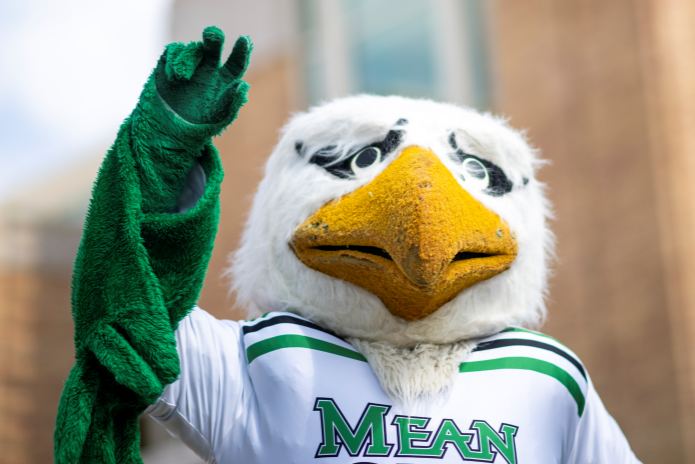 Scrappy the eagle in a white and green Mean Green jersey 